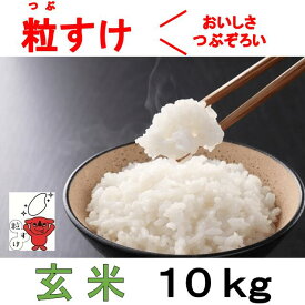 【ふるさと納税】四街道産 粒すけ 10kg 玄米 / お米 つぶすけ 新品種