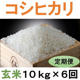 【ふるさと納税】定期便 6回 こだわり コシヒカリ 玄米 10kg / お米