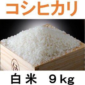 【ふるさと納税】四街道産 コシヒカリ 9kg 白米 / お米 こしひかり