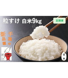 【ふるさと納税】定期便 12回 こだわり 粒すけ 白米 9kg / お米 つぶすけ 精米 厳選 米 ごはん ご飯 産地直送