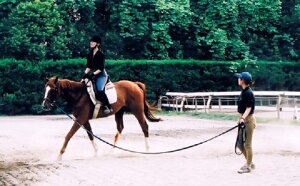 yӂ邳Ɣ[ŁzlXO[qnNu Xp 16500~ / ň rW^[bX 1g؂