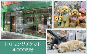 yӂ邳Ɣ[ŁzDog Salon Tailor `Pbg 4000~ /  hbO 񂿂  g~O ybgg~O