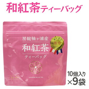 yӂ邳Ɣ[ŁzL@͔| ag eB[obO 10P×9 䐻Hb g t [0095]