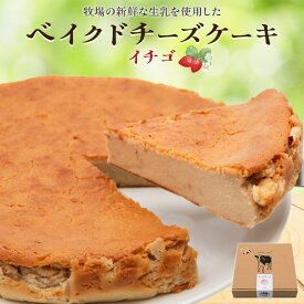 【ふるさと納税】奥野牧場ベイクドチーズケーキ ホール (大) イチゴ｜チーズ ケーキ スイーツ フルーツ ミルク 牧場 ギフト お祝い 袖ケ浦 [0491r]