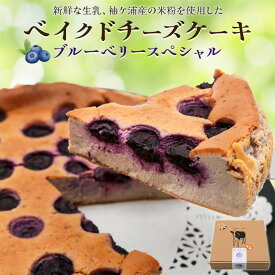 【ふるさと納税】贅沢トッピングのベイクドチーズケーキ 奥野牧場 ブルーベリースペシャル ホール (大)｜米粉 グルテンフリー チーズ ケーキ スイーツ フルーツ ミルク 牧場 ギフト お祝い 袖ケ浦 [0493r]