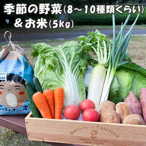 yӂ邳Ɣ[ŁzG߂̋l ؂̕ (5kg)bVN { ̂ꂽ ₳  lߍ킹 Zbg Yn t [ PY [0377]