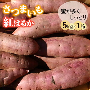 yӂ邳Ɣ[Łz܂ (g͂邩) 5kg _b_  Tc}C XC[c  Ƃ zNzN Ă ₫  PY t [0421]