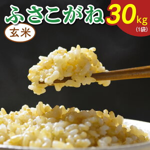 yӂ邳Ɣ[Łzߘa7NxY ӂˁsāt30kg (1)b   ٓ PY t [0520r]