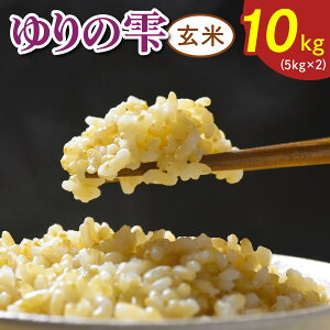 yӂ邳Ɣ[Łzߘa7NxY ̎sāt 10kg (5kg×2)b  ӂƂ   PY t [0521r]