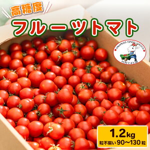 �y�ӂ邳�Ɣ[�Łz�����x�s�t���[�c�g�}�g�t1.2kg (���s����90������130��) �g�}�g�D��������X����������I�b�Â� �~�j�g�}�g �v�`�g�}�g ��� �T���_ �Y�n���� �[�� ��t ���P�Y [0650r]