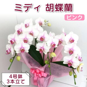 �y�ӂ邳�Ɣ[�Łz[�\���t] ��Ȃ��m���� �~�f�B�Ӓ����s���N (4�����^3�{����)�b�R���p�N�g �� �m���� �M�t�g ���j�� �a���� �L�O�� �h�V�̓� �����j�� �J�X�j�� �ړ] �J�@ ���j�� ���\�� [0