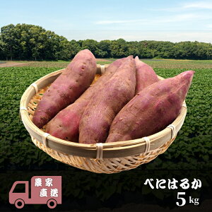 yӂ邳Ɣ[Łzׂɂ͂邩 5kg g͂邩 ܂ _ƒ ܂ F Tc}C