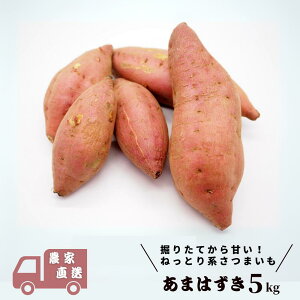 yӂ邳Ɣ[Łz܂ ܂͂ 5kg @肽ĂÂ ܂ _ƒ ܂ F Tc}C