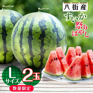 yӂ邳Ɣ[ŁzXCJ  s\ Ղ΂₵ 2ʓ IׂTCY MA TCY L TCY ʌ lC yVӂ邳Ɣ[ ӂ邳Ɣ[Őx 6 Z X t[c 2026NY 