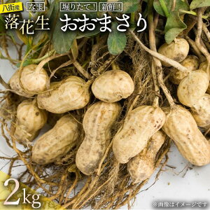 yӂ邳Ɣ[ŁzԐ ƂꂽĐVN Ԑ ܂ 2kg kt Ԑ X ܂ t 
