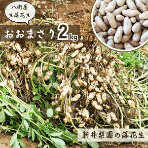 yӂ邳Ɣ[ŁzXYԐ s\ ܂ @肽Ē Ԑ 2kg 2025NY XsY Ԑ tY V䗜 Yn