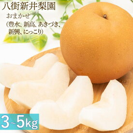 【ふるさと納税】豊水 新高 あきづき 新興 にっこり 梨 おまかせ 3kg 5kg 新井梨園 申込受付中 なし ナシ 和梨 9月 10月 発送 千葉県