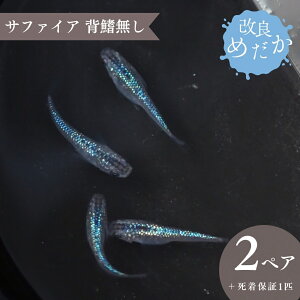 yӂ邳Ɣ[Łzǂ߂ m Tt@CAwh n(2yA{ۏ1Cj ߂ _J ߂ _J ߂ Ϗܗp
