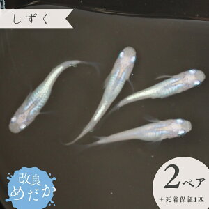 yӂ邳Ɣ[Łzǂ߂ m  n(2yA{ۏ1Cj ߂ _J ߂ _J ߂ Ϗܗp