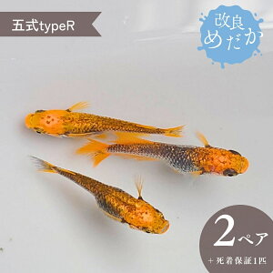 yӂ邳Ɣ[Łzǂ߂ m ܎typeR n(2yA{ۏ1Cj ߂ _J ߂ _J ߂ Ϗܗp
