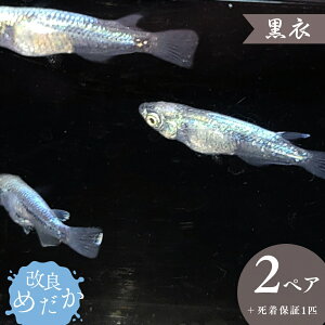yӂ邳Ɣ[Łzǂ߂ m  n(2yA{ۏ1Cj ߂ _J ߂ _J ߂ Ϗܗp
