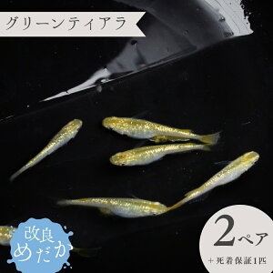 yӂ邳Ɣ[Łzǂ߂ m O[eBA n(2yA{ۏ1Cj ߂ _J ߂ _J ߂ Ϗܗp