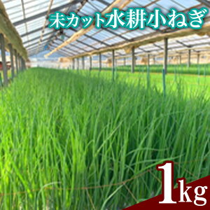 yӂ邳Ɣ[ŁzJbgk˂1kg