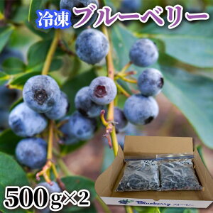 yӂ邳Ɣ[ŁzⓀu[x[ 500g×2pbN Xs u[x[ ʕ t[c u[x[ Ⓚ u[x[嗱