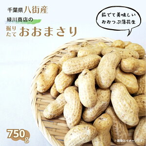 yӂ邳Ɣ[ŁzԐ @肽 Ԑ u ܂ v 750g i250g×3܁jXYԐ Ԑ܂ Ԑΐ쏤X t Ԑ V