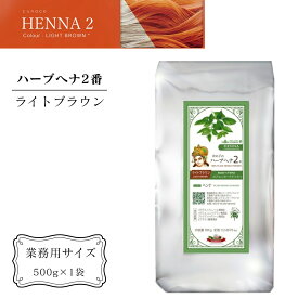 【ふるさと納税】ヘナ かの子のハーブヘナ 2番 白髪染め（色：ライトブラウン） 業務用 500g アーユルヴェーダ ヘアケア スカルプケア ご自宅ケア 業務用サイズ