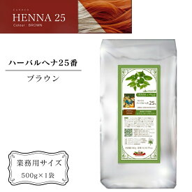 【ふるさと納税】ヘナ かの子のハーバルヘナ25番 白髪染め （色：ブラウン） 業務用 500g アーユルヴェーダ ヘアケア スカルプケア ご自宅ケア 業務用サイズ