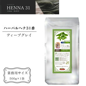 【ふるさと納税】ヘナ かの子のハーバルヘナ 31番 白髪染め（色：ブラック/ディープグレイ）業務用 500g アーユルヴェーダ ヘアケア スカルプケア ご自宅ケア 業務用サイズ
