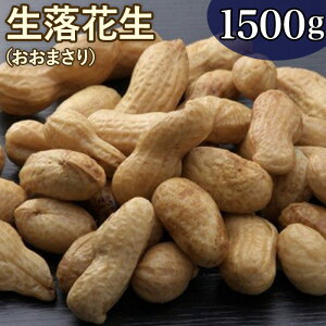 yӂ邳Ɣ[ŁzԐ tXY ÒJ̎Ԑ/܂ 1.5kg iŗԐpjXYԐ Ԑ܂ ԐX ӂ邳Ɣ[ ԐƎ҉ oR{X t 