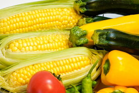 【ふるさと納税】＼選べる配送月／ 《1〜2月にお届け》《7月にお届け》留守農場　旬の野菜詰め合わせ やさい 野菜セット 詰め合わせ 季節野菜 夏野菜 冬野菜 千葉県 八街市 産地直送 農家直送 おまかせ 新鮮 オススメ 人気 送料無料