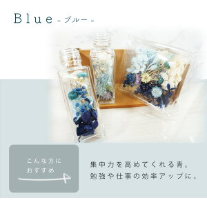 【ふるさと納税】 \\選べる カラー//ハーバリウム手作りキット【レッド ピンク イエロー グリーン パープル ナチュラル】インテリアフラワー ハーバリウム ガラス 小瓶 ボトル ドライ