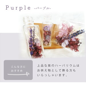 yӂ邳Ɣ[Łz __Iׂ J[^^n[oELbgybh sN CG[ O[ p[v i`zCeAt[ n[oE KX r {g hC