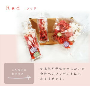 �y�ӂ邳�Ɣ[�Łz �_�_�I�ׂ� �J���[�^�^�n�[�o���E������L�b�g�y���b�h �s���N �C�G���[ �O���[�� �p�[�v�� �i�`�������z�C���e���A�t�����[ �n�[�o���E�� �K���X ���r �{�g�� �h���C