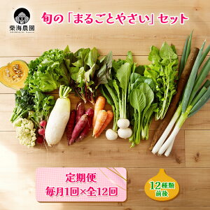 yӂ邳Ɣ[Łz[ 12񂨓͂] ĊC_ {́u܂邲Ƃ₳vZbg (12ޑO) [0223]