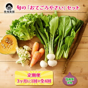 yӂ邳Ɣ[Łz[ 34񂨓͂] ĊC_ {́uĂ₳vZbg (8ޑO) [0227]