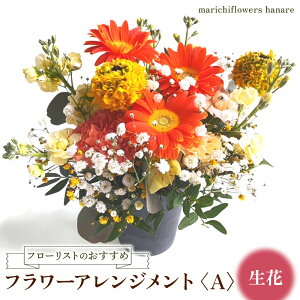 yӂ邳Ɣ[Łzt[Xĝ t[AWgqAr ԁb t[ Mtg v[g LO j {^jJ CeA [0428]