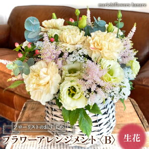 yӂ邳Ɣ[Łzt[Xĝ t[AWgqBr ԁb t[ Mtg v[g LO j {^jJ CeA [0429]