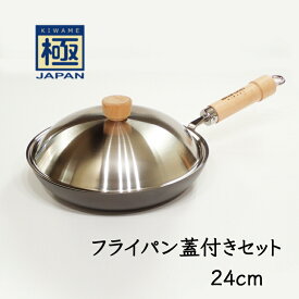 【ふるさと納税】鉄フライパン 24cm 蓋付き リバーライト 極JAPAN