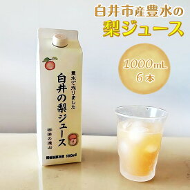【ふるさと納税】梨ジュース 1,000ml 6本 梨果汁100% ストレートジュース さわやか おすすめ 美味しい 果実飲料 遠山珈琲