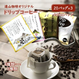 【ふるさと納税】ドリップコーヒーバッグ詰め合わせ 20袋×3種類 60袋 煎りたて 挽きたて 天日干し 自家焙煎 遠山珈琲オリジナルコーヒー フローレスマウンテン ハニーマウンテン パリの朝市 ホテルブレンドロイヤルソフト 4種類からお任せ3種類 おすすめ 美味しい