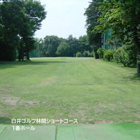 白井 ゴルフ 林間 ショート コース 千葉県 ショートコース一覧