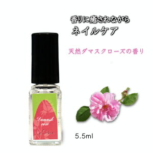 yӂ邳Ɣ[ŁzVF[k lCIC 5.5ml L[eBNIC 肪Iׂ ܂̔et