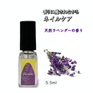 yӂ邳Ɣ[ŁzVF[k lCIC 5.5ml L[eBNIC 肪Iׂ ܂̔et
