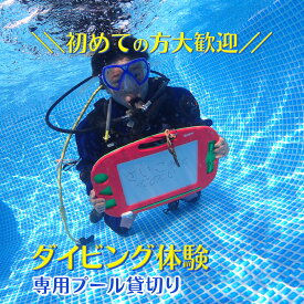 【ふるさと納税】ダイビング体験 ダイビング専用プール貸切り 3時間 貸切体験 初心者歓迎 プールでダイビング スキューバダイビング スクーバダイビング 体験ダイビング アクティビティ PADI ダイビングスクール 体験チケット おすすめ 年中潜れる 近場で遊ぶ