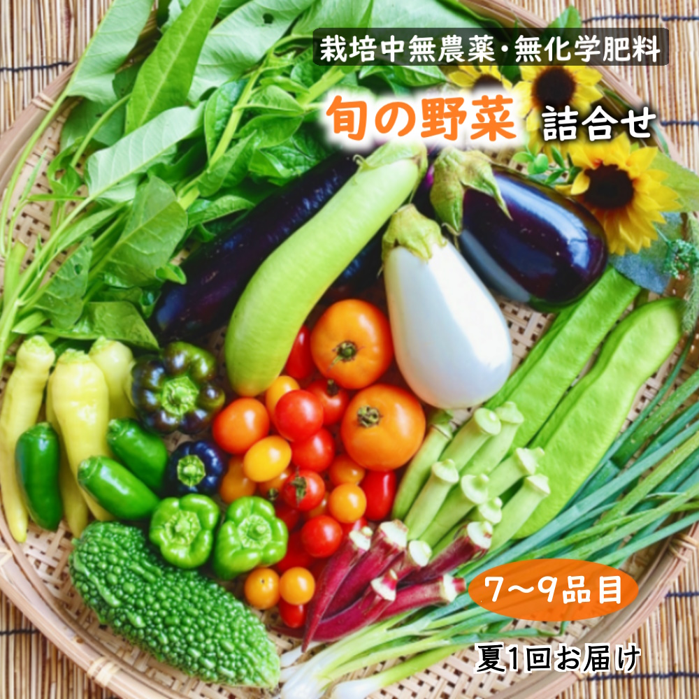 classificados.acheiusa.com - ふるさと納税 A-793 新鮮！季節のお野菜