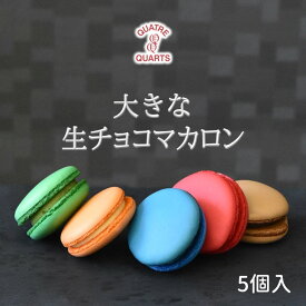 【ふるさと納税】マカロン 5個入り 生チョコ 生マカロン 詰め合わせ 美味しい おすすめ 抹茶チョコ ブルーベリーチョコ ラズベリーチョコ オレンジチョコ ビターチョコ ギフト 贈物 プレゼント お土産 焼き菓子